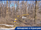 Порядка 100 молодых деревьев пустили под бензопилу в Невинномысске