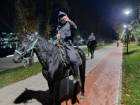 Избивший пенсионеров плеткой всадник из Кисловодска предстанет перед судом