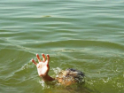 На Ставрополье утонул 10-летний мальчик