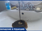 «Пойдем выше»: на Ставрополье у жителей села из крана течет вода кофейного цвета 