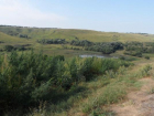 Уничтожено около 20 тысяч кустов конопли в Андроповском районе
