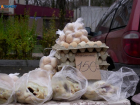 Стоимость яиц на Ставрополье за месяц взлетела почти на 28%