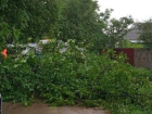 На жительницу поселка Горячеводского упало дерево