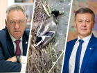 Марченко в СИЗО, животные массово гибнут, а главы округов меняются, как перчатки: что произошло за неделю на Ставрополье