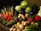 Ставропольцы теперь могут купить свежие овощи с грядок прямо у подъезда
