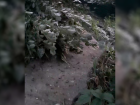 Вода текла по склону, а потом земля съехала во двор: из-за коммунальной аварии в Ставрополе сошел оползень