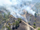 Виновные в лесном пожаре на ставропольской горе Куцай отделались дисциплинарным наказанием