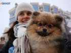 Ставропольские спасатели рассказали о правилах безопасности во время зимних прогулок