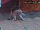 "Наше гнилое общество деградировало", - видео кражи шуруповерта в Ставрополе вызвало яростные споры
