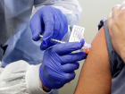 Вакцина от коронавируса может появиться в России к концу года