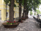 В Ставрополе вместо цветочного павильона появилось новое место для отдыха горожан