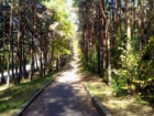 «Тропу братьев Бернардацци» восстановят в Пятигорске до конца года