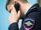 Ставропольская полиция организовала проверку из-за массового спила деревьев в станице Суворовской  