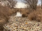 На Ставрополье очистку реки Калаус приостановили из-за непогоды