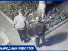 Разорители клумб снова кошмарят Ставрополь