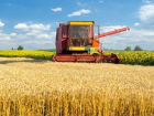 Исторический рекорд по сбору зерна побили аграрии Ставрополья