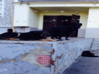 Бездомных собак на детской площадке поселили сердобольные жители Кисловодска