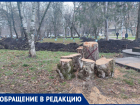Спил деревьев в сквере Ставрополя у лицея №8 возмутил горожан
