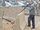 Подозреваемого в массовом отстреле собак догхантера проверит полиция в Ставропольском крае
