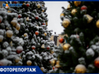 Ставрополь вновь оброс многомиллионными новогодними украшениями