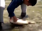 Появилось видео ловли школьником пятикилограммового толстолобика в Комсомольском пруду в Ставрополе