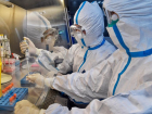 На Ставрополье обнаружено ещё 6 подозрений на коронавирус и один зараженный 