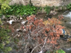 Реку Березовка в Кисловодске перекрывает «мусорная плотина» 