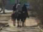 Три всадника на лошадях вальяжно прогуливались по тротуарам на улицах Кисловодска