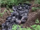 В Ставрополе в Русском лесу жители города обнаружили сотню мешков с мусором