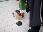 Белоснежная утка просила милостыню в ставропольском магазине 
