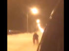 Экстремальные катания лыжника на привязи к машине попали на видео в Ставрополе