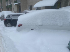 Беспредел УК, баснословные платежки и тонны снега: жители Ставрополя возмущены состоянием дворов после стихии 