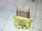 Мужчина с коробкой из-под торта угрожал взорвать энергетическое предприятие в Невинномысске