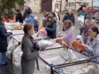 В центре Ставрополя прошла масштабная сортировка мусора и вторсырья