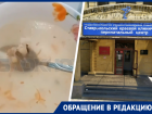 Бульоном из ничего кормят рожениц в роддоме в Ставрополе