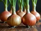 Репчатый лук на Ставрополье внезапно подорожал