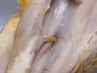 В ресторане быстрого питания в Пятигорске подают куриные ножки с личинками