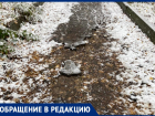 «Сплошь ямы и разрушенный асфальт» — жители Железноводска пожаловались на разрушенную пешеходную дорожку