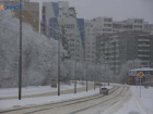 С началом новой недели снег вернется на Ставрополье
