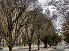 В первый день февраля  на Ставрополье ожидаются морозы и сильный ветер