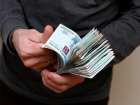 Руководитель михайловского АПК обманула местного предпринимателя на 7 миллионов рублей