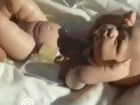 Куклы в саване: семья из Дагестана обвиняет ставропольский роддом в сокрытии погибших младенцев