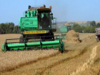 Объявлена стартовая цена на зерно нового урожая в Ставропольском крае