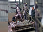 Том Сойер и Гекльберри Финн на плоту появятся в новом парке Железноводска