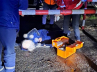Пешеход попал под локомотив в Минеральных Водах