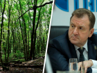 Критику вырубки леса ради школы мэр Ставрополя посчитал манипуляцией общественным сознанием 