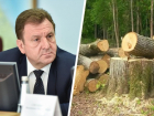 Власти Ставрополя планируют вырубить более 33 тысяч деревьев и построить водовод