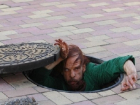 Бездомный мужчина провалился в канализационный люк в Ставропольском крае