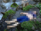 Жительница Пятигорска рухнула с 30-метровой высоты и разбилась насмерть из-за селфи 