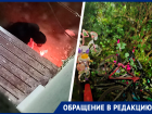 «В страхе живем, что завтра машину подожжет»: жильцы на Ботаническом в Ставрополе жалуются на террор от соседки